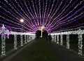 元渕江公園の写真_158848