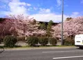 国立劇場の写真_171274
