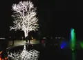京都府立植物園の写真_209824