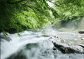 旅館藤もとの写真_210412