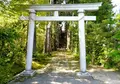春日神社の写真_228594