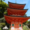 巌金山宝厳寺の写真_231194