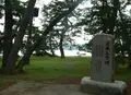 天橋立の写真_269881