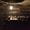 サドヤ醸造場の写真_16835
