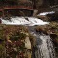 銀山温泉の写真_17351