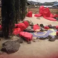 豊島美術館の写真_21202