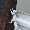 飛谷側道橋の写真_217566