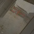 大宮公園の写真_26983