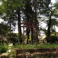 鹿沼市立北小学校の写真_29784