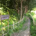 八宮神社の写真_33284