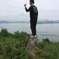志々島の大楠の写真_38254