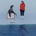 鶴岡市立加茂水族館（クラゲドリーム館）の写真_40966