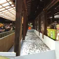 上賀茂神社（賀茂別雷神社）の写真_56650