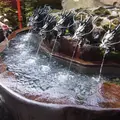 箱根神社の写真_57757