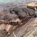 波子漁協の写真_58192