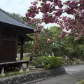 嶽林寺の写真_75692
