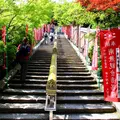 大聖院の写真_1060346