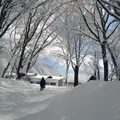 エバーランド奥大山の写真_127955