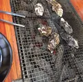 海辺のほったて小屋の写真_18447