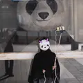 パンダ橋の写真_53547