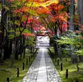鹿王院駅の写真_65369