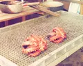 大原漁港の写真_72434