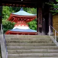 慈尊院の写真_170592