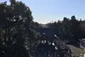 鶴岡八幡宮の写真_211703