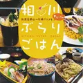 相川商店街の写真_184105