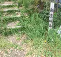 古徳沼の写真_30900