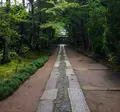 寿福寺の写真_138464