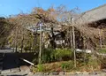 毘沙門堂の写真_101027