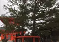 壇上伽藍の写真_106751