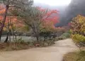 浄瑠璃寺の写真_16789