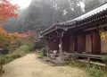 浄瑠璃寺の写真_16790