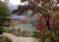 浄瑠璃寺の写真_16792