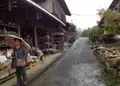 浄瑠璃寺の写真_16794