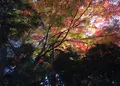 霊山歴史館の写真_16932