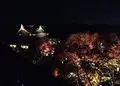 将軍塚青龍殿の写真_17049