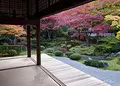 御寺 泉涌寺の写真_17477