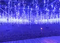 あしかがフラワーパークの写真_17532
