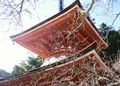 天野山金剛寺（女人高野）の写真_17701