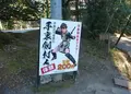伊賀流忍者博物館の写真_20372
