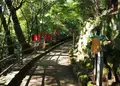 狸福神社の写真_20534