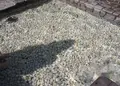 独歩の湯の写真_20536