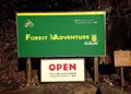 フォレストアドベンチャー・箱根の写真_21162