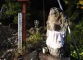 不動山山頂からも見えるの写真_21644