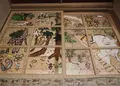 木造校舎の写真_21704