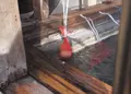 つぼ湯の写真_21746