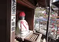 清水寺の写真_22559